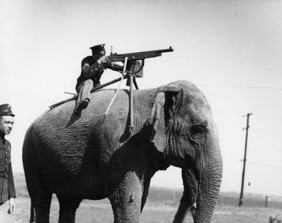 File:Elephant Cavalry.jpg