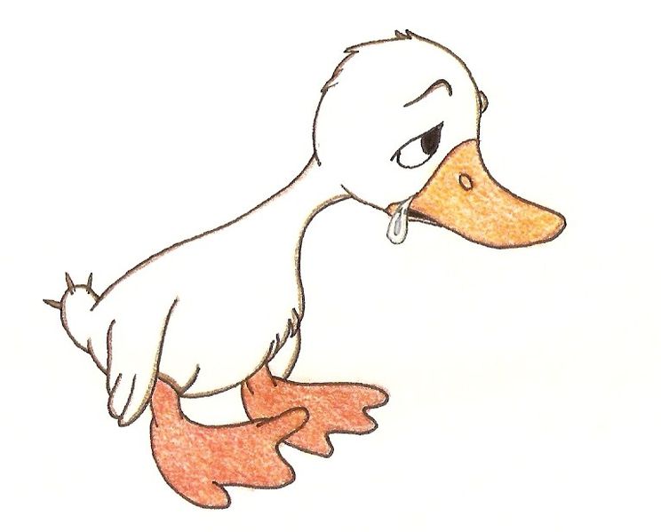 File:Duckling.jpg
