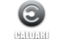 Caldari Logo.png